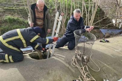 Su deposuna düşen yavru köpek 6 saat sonra kurtarıldı