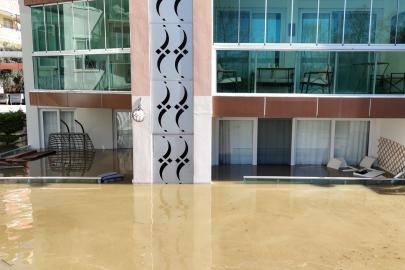 Taşan çaydaki işletme yıkıldı, sulara kapılmak üzere olan bir köpek son anda kurtarıldı