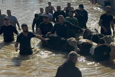 Taşan Gediz Nehri dolayısıyla mahsur kalan 44 kişi ve 127 hayvan kurtarıldı