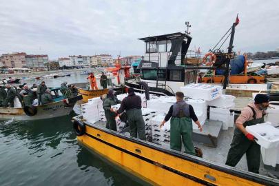 Tekirdağ açıklarında torik bereketi