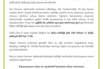 TİGEM’den ’değeri 100 milyon lira olan yarış atları kayıp’ iddialarına yalanlama