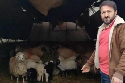 Trabzon’da ilginç görüntüler