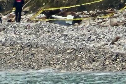 Türkeli’de kıyıya vuran şüpheli cisim korkuttu