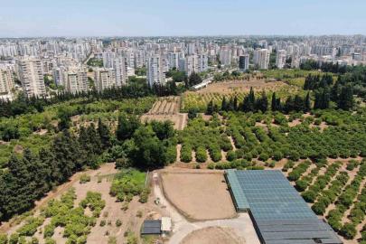 Türkiye son 20 yılda, Antalya’dan büyük tarım alanını kaybetti