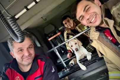 Umuda uzanan eller: Mahsur kalan köpeği itfaiye kurtardı