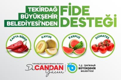 Üreticiye yüzde 70 hibeli fide desteği