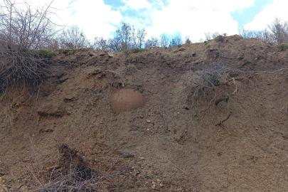 Vatandaşın ihbar ettiği tarihi küp boş çıktı