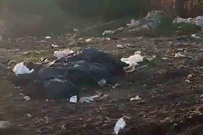 Vatandaşların kirlettiği ormanlık alanı muhtar temizledi