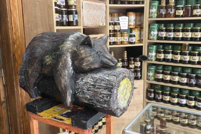 Viral olan ayı, satışları katladı: Balcı dükkanının başköşesine ’bayılan ayı’ dekoru yerleşti