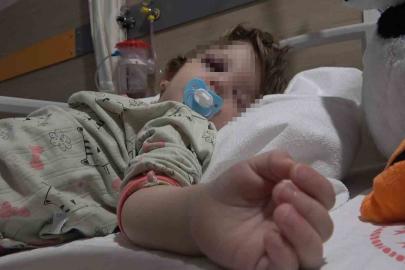 Yalova’da komşuların gürültü kavgasında 14 aylık bebek hastanelik oldu