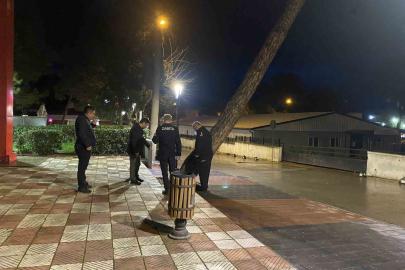 Yarım asırlık çam ağacı fırtınaya dayanamadı