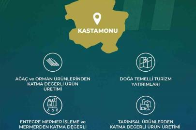 Yerel Kalkınma Hamlesi Teşvik Programıyla 3 ilin yerel potansiyeli ortaya çıkartılacak