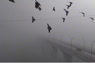 Yoğun sisten kaybolan yapılar dronla görüntülendi