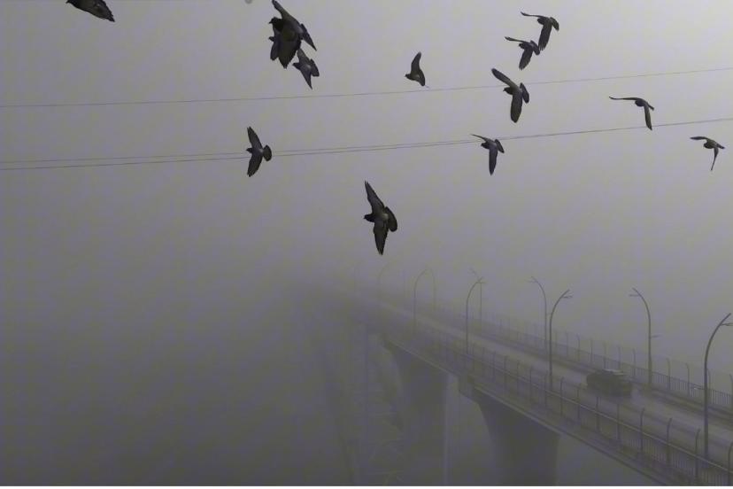 Yoğun sisten kaybolan yapılar dronla görüntülendi