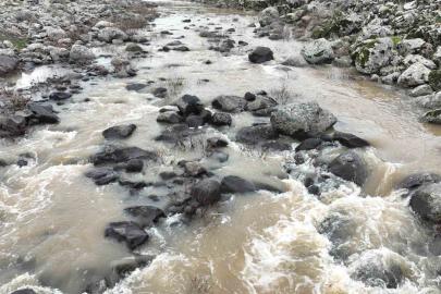 Yoğun yağışlar çiftçinin yüzünü güldürdü