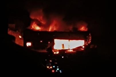 Zeytin ve fıstık işleme fabrikasında korkutan yangın