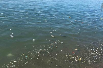 Zonguldak sahilinde çöp tepkisi