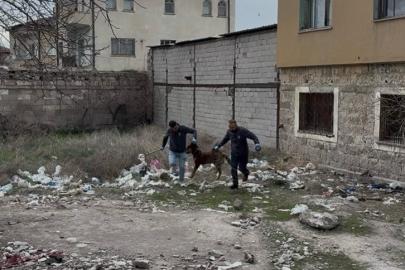 3 yaşındaki çocuğuna köpek saldıran baba: "Köpeğin çocuğumuzu bırakması için çok uğraştık"