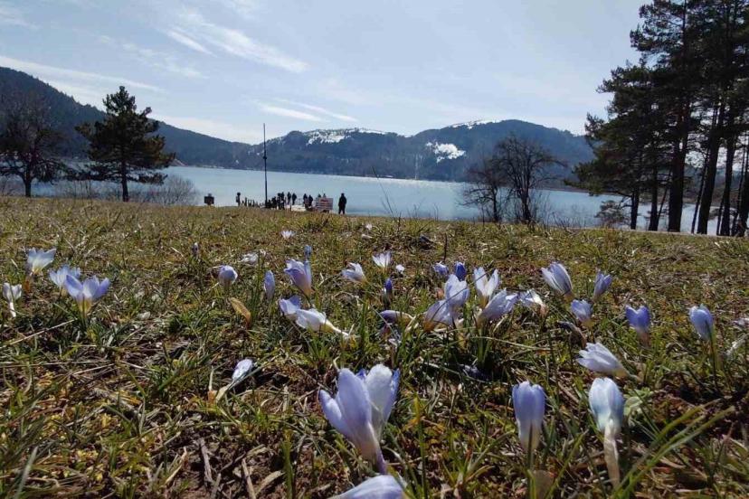 Abant’ta karların ardından bahar manzarası