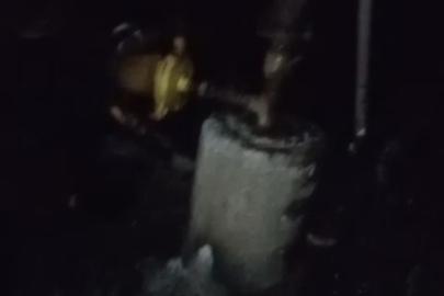 Adana’da 40 güvercin yangında telef oldu