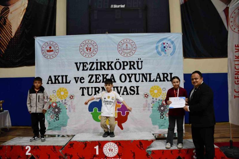 Akıl ve Zekâ Oyunları Turnuvası