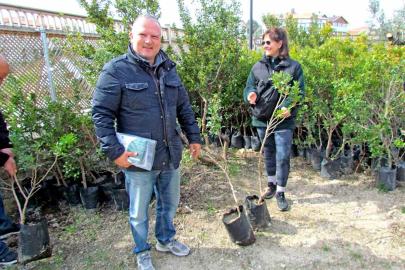 Alaçatı’da "Her Bahçeye Bir Sakız Ağacı" seferberliği