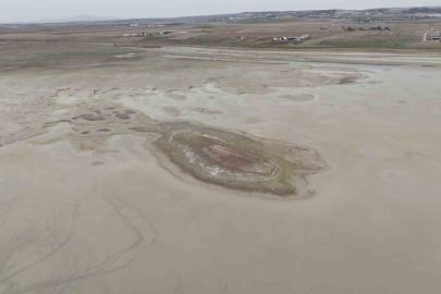 Allı turnaların yuvası yok oluyor