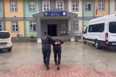 Antakya’da canlı hayvan çalan şüpheli yakalandı