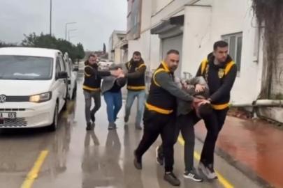 Atlara eziyet edenlere dikkat çeken ceza: Haftada 1 gün barınak temizleyecekler