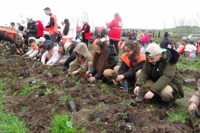 Bafra’da minik eller 3 bin fidanı toprakla buluşturdu