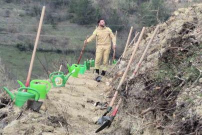Bartın’da geçen yıl yanan ormana 400 fidan dikildi