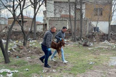 Başıboş köpeğin saldırdığı 3 yaşındaki çocuk ağır yaralandı