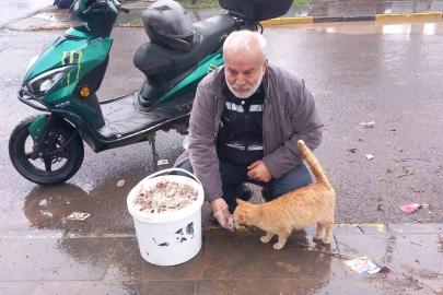 Bayramda sokak hayvanlarını unutmadı