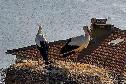 Beklenen buluşma gerçekleşti