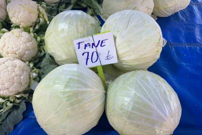 Beyaz lahanada ne çiftçi kazandı ne de tüketici ucuza yedi