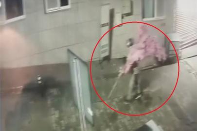 ‘Bir kafeden daha fazlası’ yazısını fark etti, ağacı sırtlayıp gitti O anlar kamerada