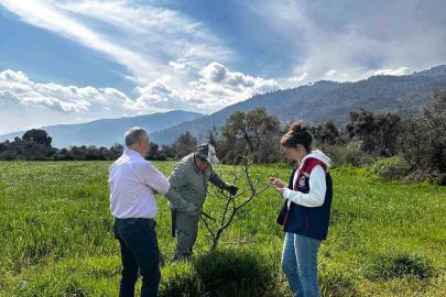 Bozdoğan İlçe Tarım ve Orman Müdürlüğü ekipleri ilek bahçesinde bakım yaptı