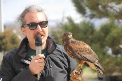 Bu Nevruz diğerlerinden farklı: Kurtlar alanda gezdi, şahin havada uçtu