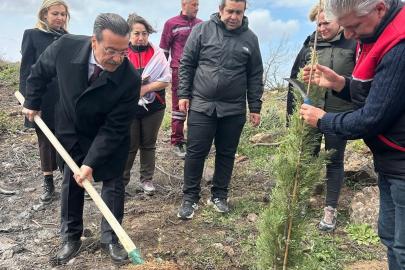 Burhaniye’de 315 fıstıkçamı fidanı toprakla buluşturuldu