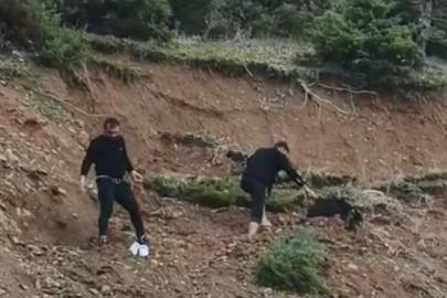 Çamura saplanan keçi son anda kurtarıldı