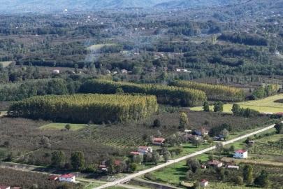 Çarşamba Ovası meyvede zirvede