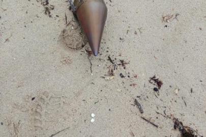 Çatalca’da kıyıya vuran füze başlığı imha edildi