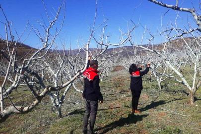 Çiftçilere bordo bulamacı uyarısı
