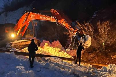 Çığ vurdu, devlet ve ilgili kurumlar çalışma başlattı, Beşağaç köyü karanlıktan kurtarıldı