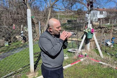 Çocukluğundan bu yana güvercin tutkunu olan adam: "Bir ev parasına kuş veren var"