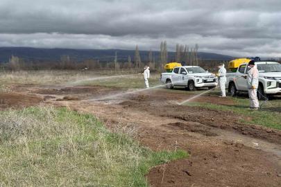 Çorum Belediyesi’nden yaz öncesi vektörle mücadele