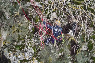 Dağda mahsur kalan keçi kurtarıldı