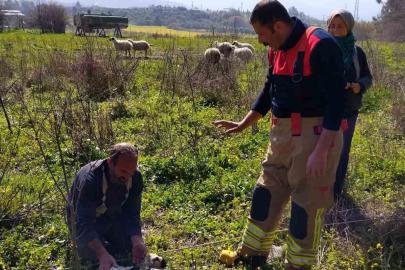 Defne’de kuyuya düşen kuzuyu itfaiye kurtardı
