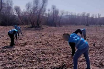 Denetimli serbestlik yükümlüleri ’Adalet Ormanı’nda meyve yetiştiriyor
