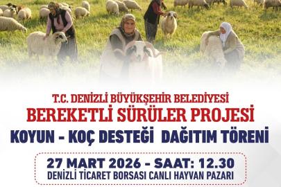 Denizli Büyükşehir 582 üreticiye 1200 adet koyun ve koç dağıtacak